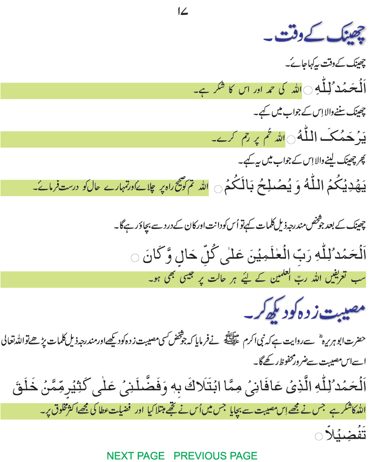Search Truth in Quran Hadith Prayer Times Dictionary Islamic Names
